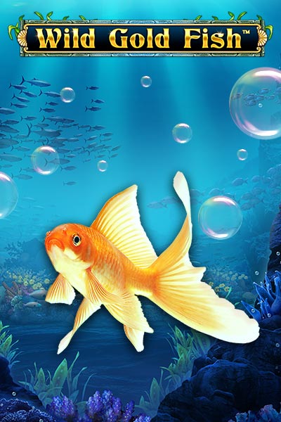 Wild Gold Fish
